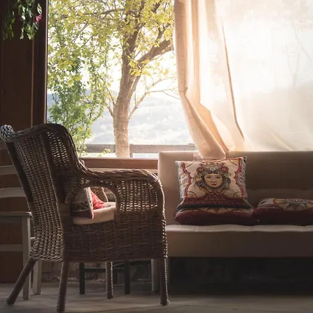 Montesoprano - - - Gym -camping - Séjour à la ferme