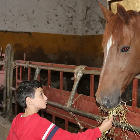 Montesoprano - - - Gym -camping - Capizzi