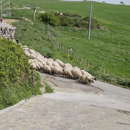 Séjour à la ferme Montesoprano - - - Gym -camping -